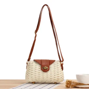 2025 New Handwoven Vacation Straw Rattan Woven Box Bag Women Casual Beach Crossbody Shoulder Bag Trendy Shell Handbags